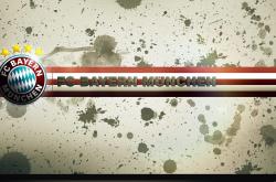 开云体育入口-时空交错之战，四川火锅战术涮晕灰熊，塔图姆数据之火照亮跨次元对决