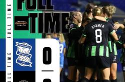 开云体育在线-布莱顿惊险战胜伯明翰城，保住保级希望