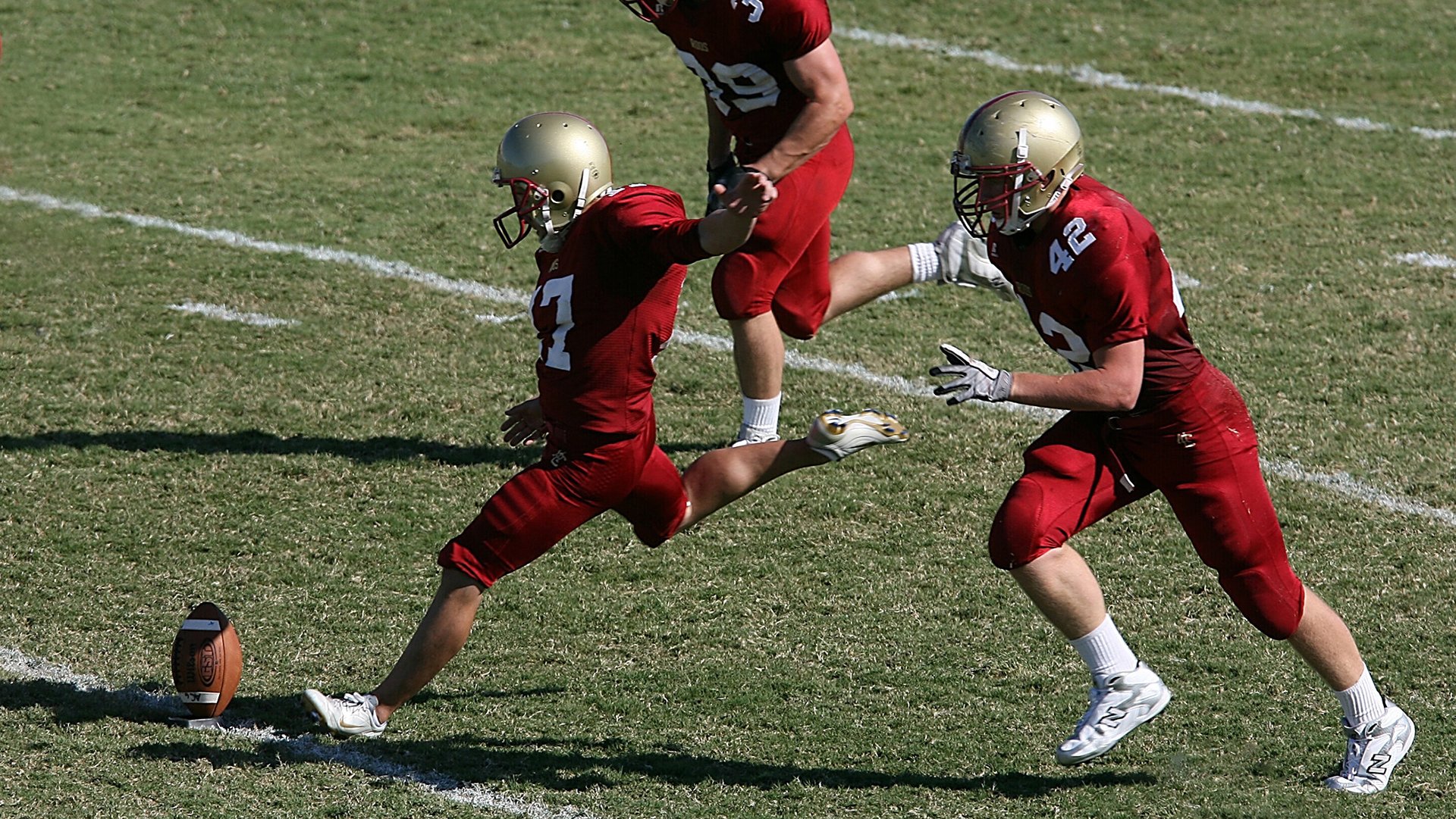 孤星闪耀与团队黄昏，张本智和的无冕统治与德国队的完美协奏