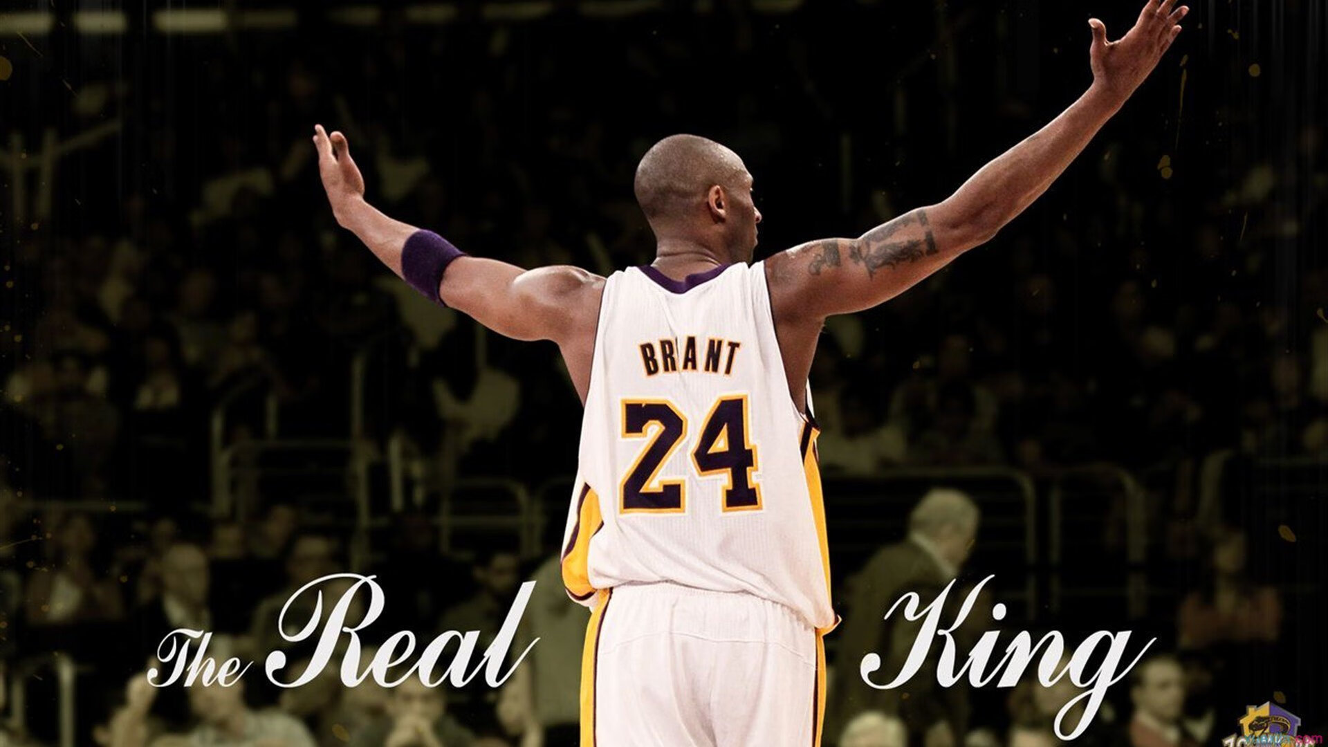 跨越虚拟的荣耀,当CBA传奇迎战NBA雄鹿,赵继伟的星辰大海